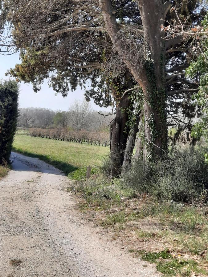 Le Mas Des Oliviers Villa Puget Bagian luar foto