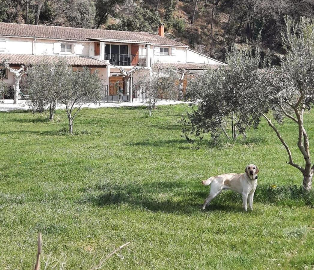 Le Mas Des Oliviers Villa Puget Bagian luar foto