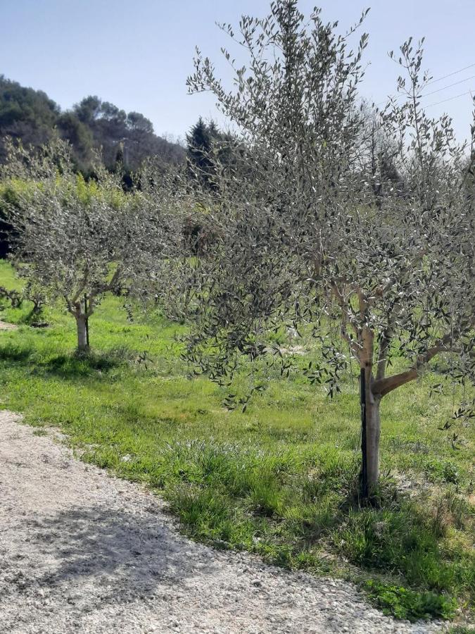 Le Mas Des Oliviers Villa Puget Bagian luar foto