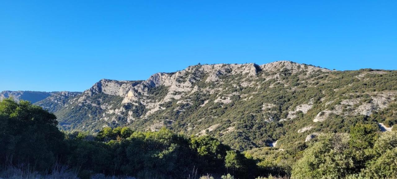 Le Mas Des Oliviers Villa Puget Bagian luar foto